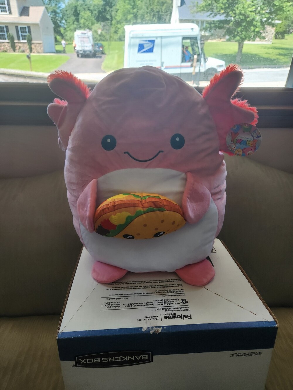🎉 Axolotl With Taco